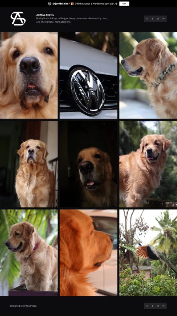 A Photography website demo