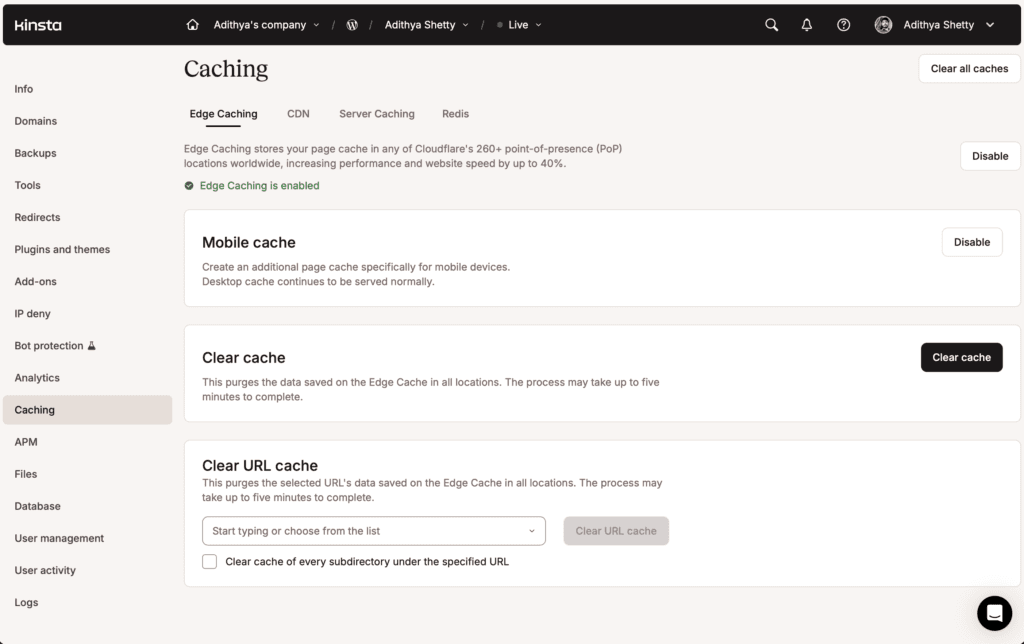 Kinsta Caching
